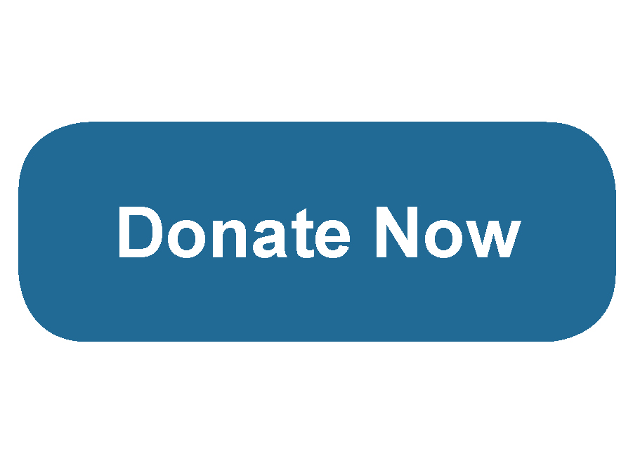 donate_now_button_6 2.jpg